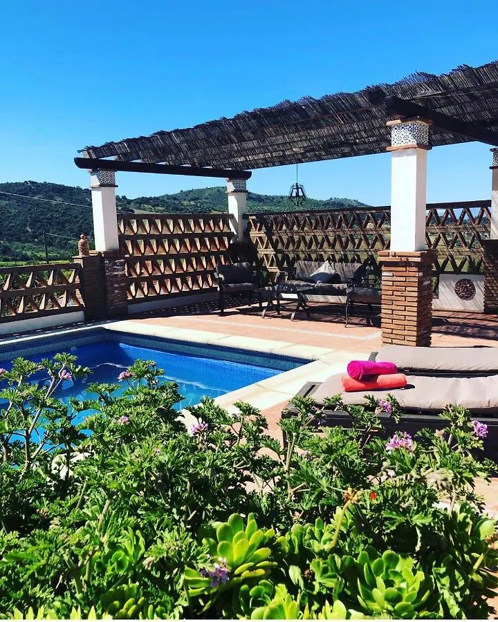 Villa Azafran Málaga